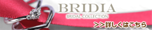 BRIDIA